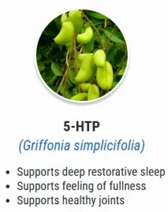 5htp.webp