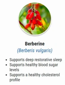 Berbern.webp
