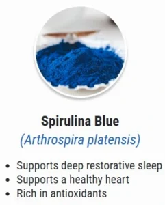 Spsrnlina.webp
