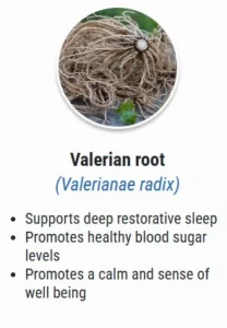 valern.webp